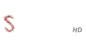 screamtime-hd-logo@2x.png